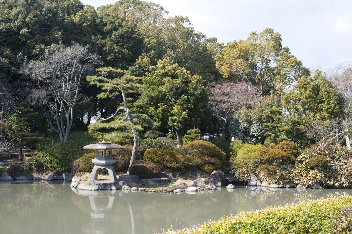A serene view of the Japanese Garden in Albuquerque Botanic Gardens with a koi pond, bridge, and traditional lanterns