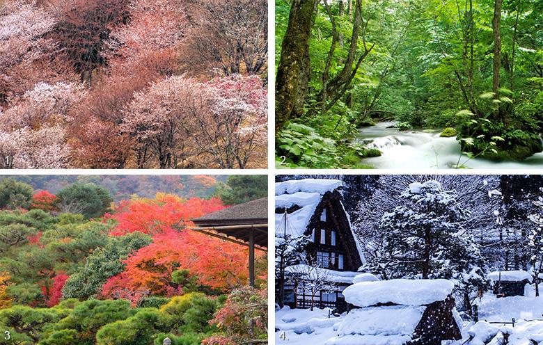 A collage of four images depicting Arkansas landscapes in different seasons, showcasing the unique beauty and photographic opportunities of each time of year
