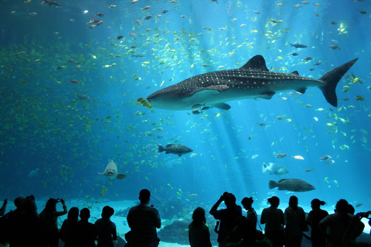A collage of iconic Atlanta event venues including the Fox Theatre, Georgia Aquarium, and Piedmont Park