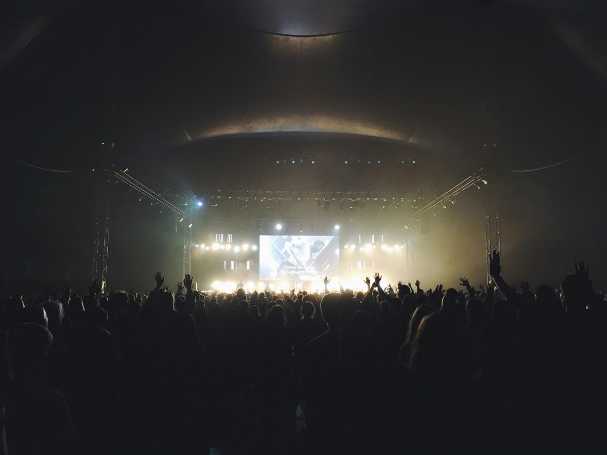 A energetic crowd at a live music concert, capturing the electric atmosphere.