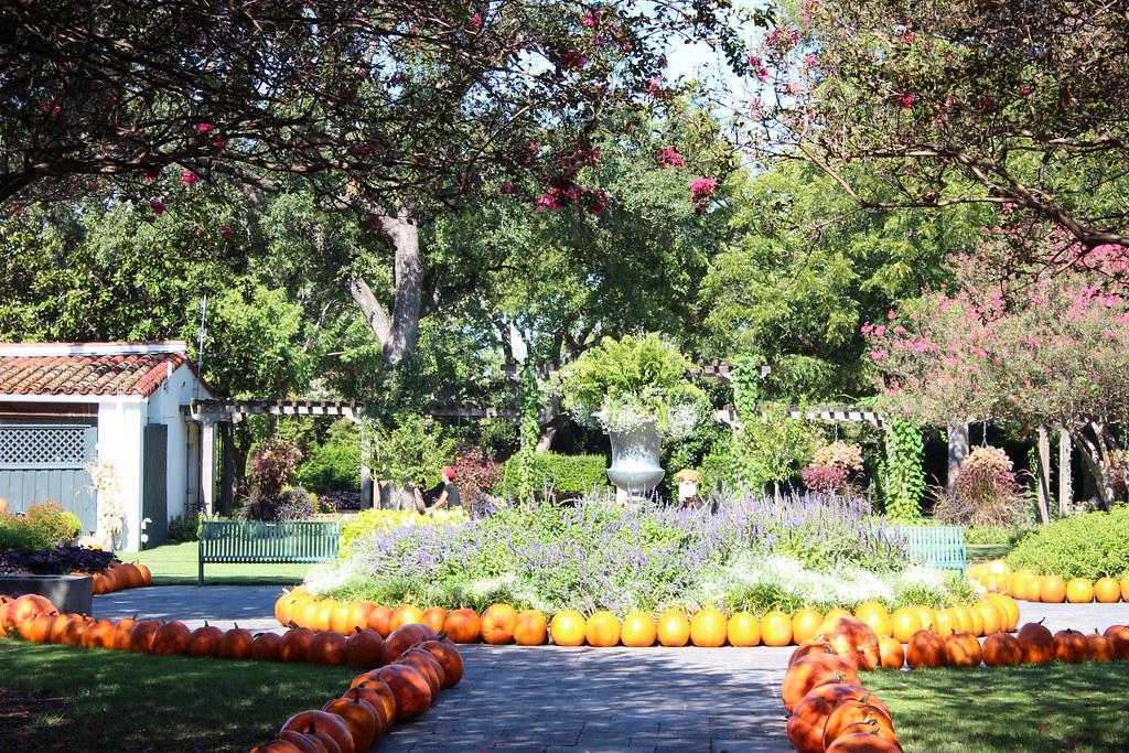 Collage of popular Dallas wedding photography locations including The Joule Hotel, Dallas Arboretum, White Rock Lake, and Arlington Hall