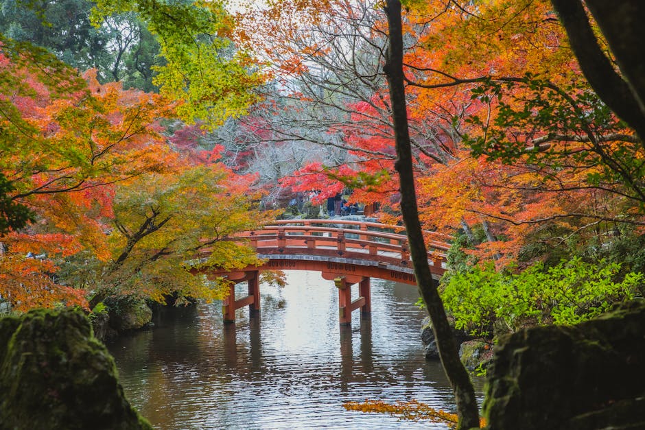 Japanese Garden in Denver Botanic Gardens with a serene pond, wooden bridge, and colorful autumn foliage