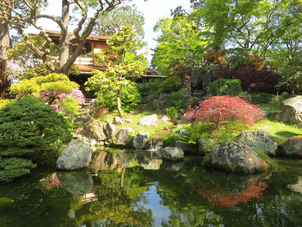 A serene water feature within the Japanese Tea Gardens, showcasing the tranquil pond, cascading waterfall, and lush greenery that surrounds the peaceful oasis.