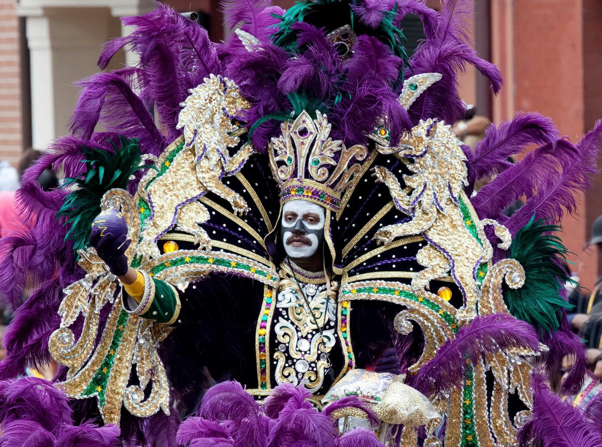 A stylish online gallery showcasing various Mardi Gras photographs, displayed on multiple devices