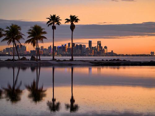 A photographer captures the warm, golden light of the golden hour during a Miami sunset, showcasing the interplay of light and shadow on the landscape