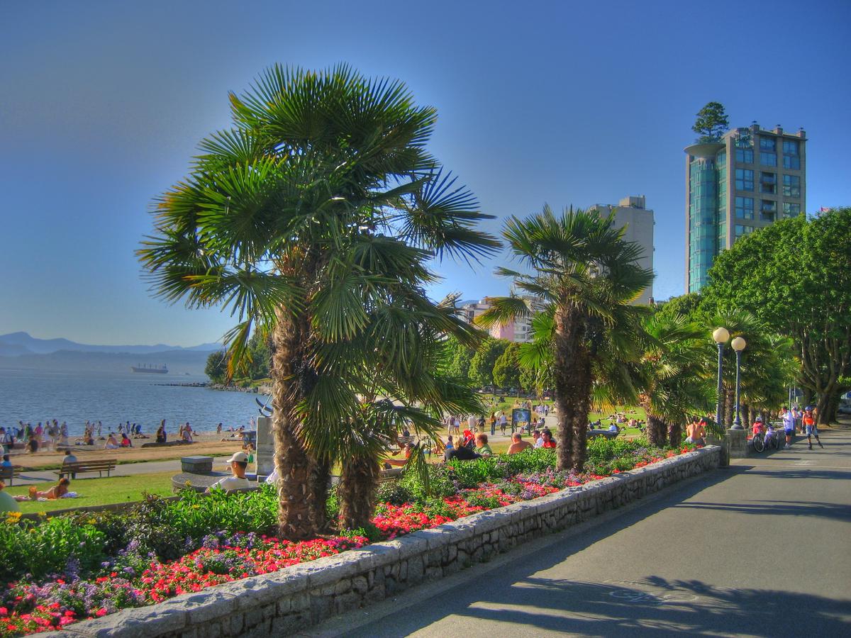 A series of images showcasing popular Palm Beach photoshoot locations