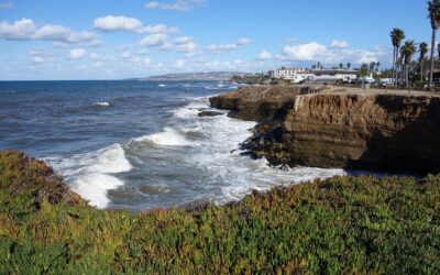 San Diego Photography Exhibitions
